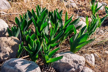 Similar image 21750446