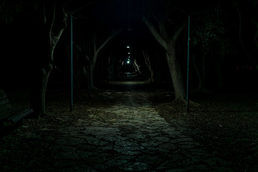 Similar image 21745197