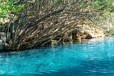 Similar image 21745204