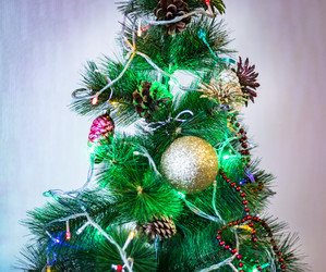 Similar image 21744913