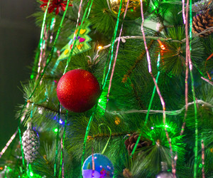 Similar image 21745086