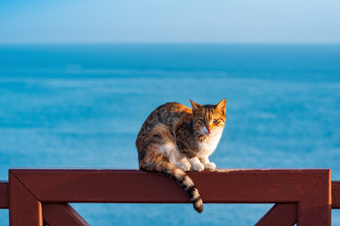 Similar image 21746759