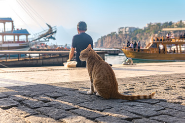 Similar image 21749356