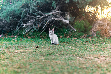 Similar image 21749374