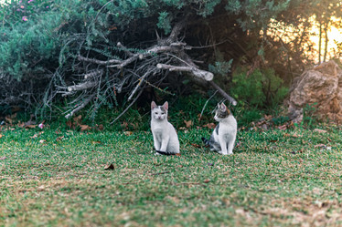 Similar image 21749375