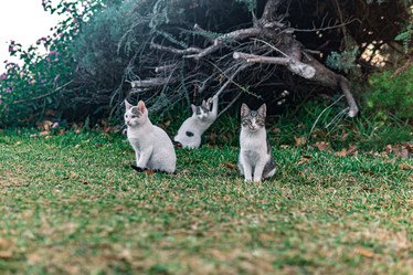 Similar image 21749377