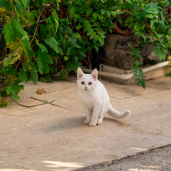 Similar image 21746760