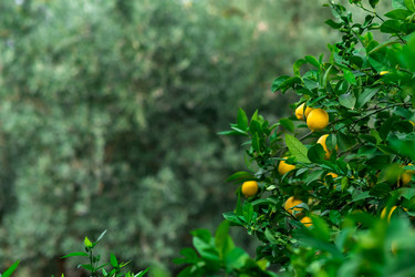 Similar image 21746769