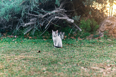 Similar image 21746775