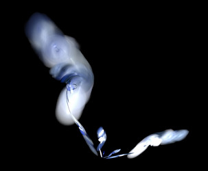 Similar image 21743973