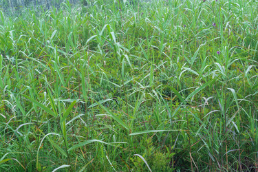 Similar image 21745431