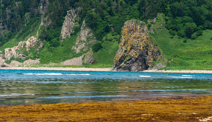 Similar image 21745436