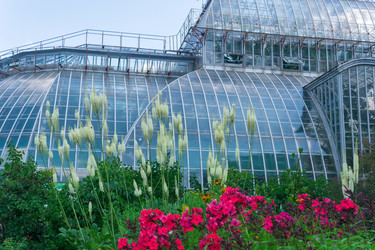 Similar image 21745438