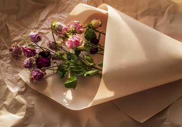 Similar image 21746901