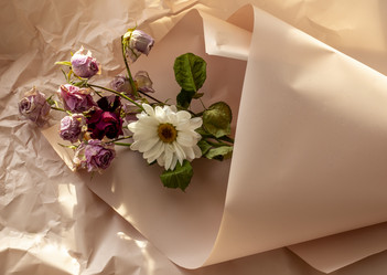 Similar image 21747050