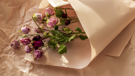 Similar image 21747051