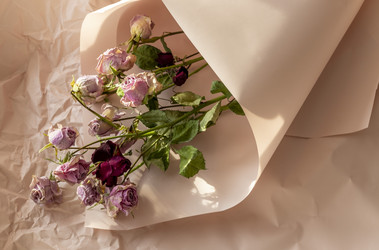 Similar image 21747053