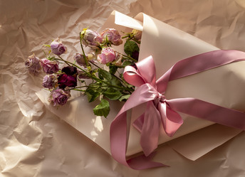 Similar image 21747055