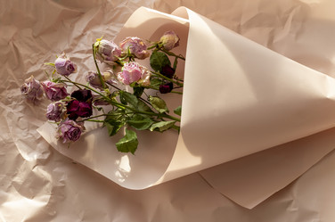 Similar image 21747056