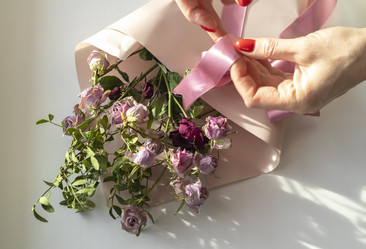 Similar image 21747065