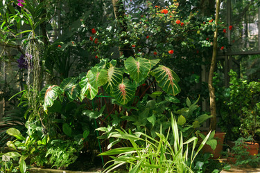 Similar image 21749811