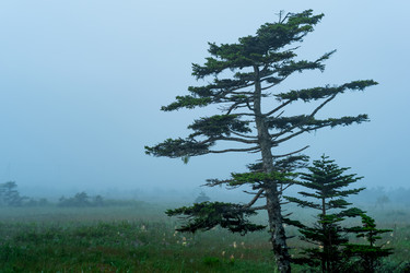 Similar image 21750039