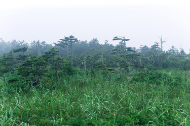 Similar image 21750040