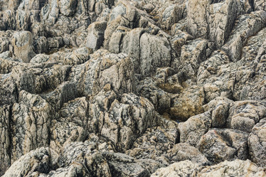 Similar image 21750235