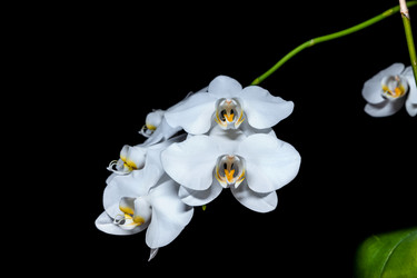 Similar image 21744153