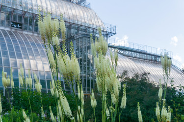 Similar image 21749396