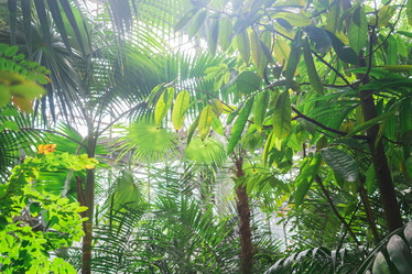 Similar image 21749402