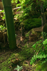 Similar image 21749404