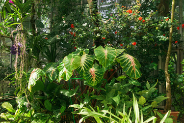 Similar image 21749406