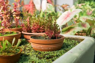 Similar image 21749412