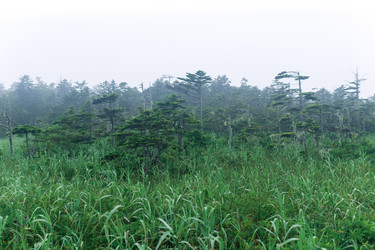 Similar image 21749421