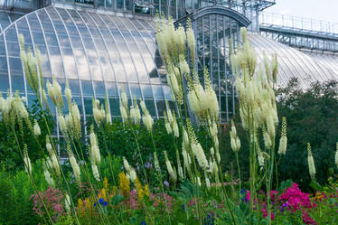 Similar image 21749426