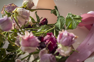 Similar image 21747072