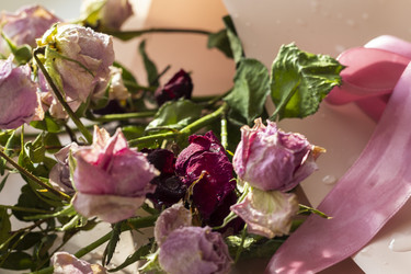 Similar image 21747073