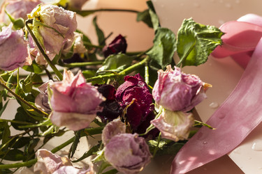 Similar image 21747076