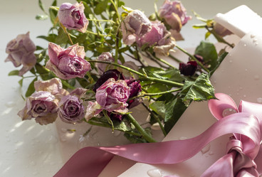 Similar image 21747077