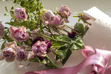 Similar image 21747079