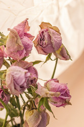 Similar image 21747085