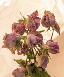 Similar image 21747087