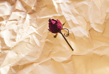 Similar image 21747089