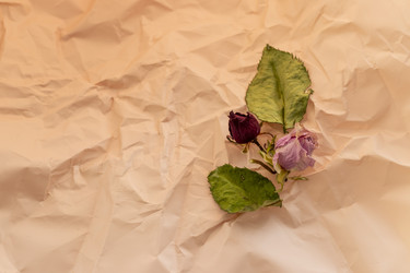 Similar image 21747092