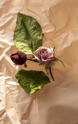 Similar image 21747655