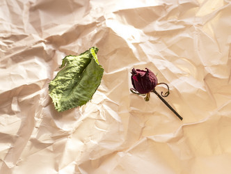 Similar image 21747657