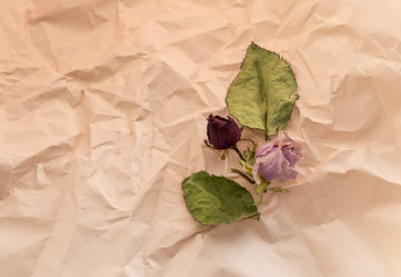 Similar image 21747841