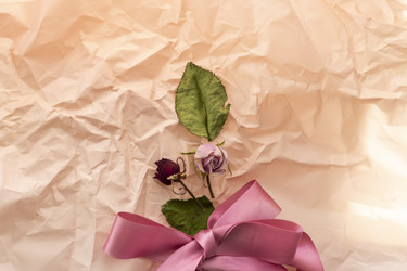 Similar image 21747845