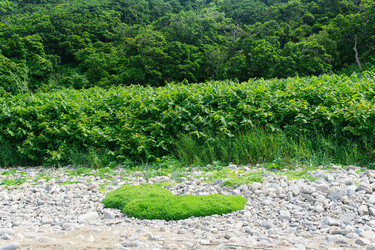 Similar image 21750883